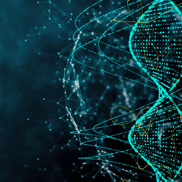 Həyatın Olmazsa Olmazları – DNT | Genom |&nbsp;Xromosom