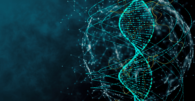 Həyatın Olmazsa Olmazları – DNT | Genom |&nbsp;Xromosom